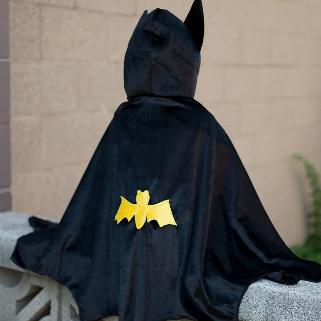 Hooded Bat Cape