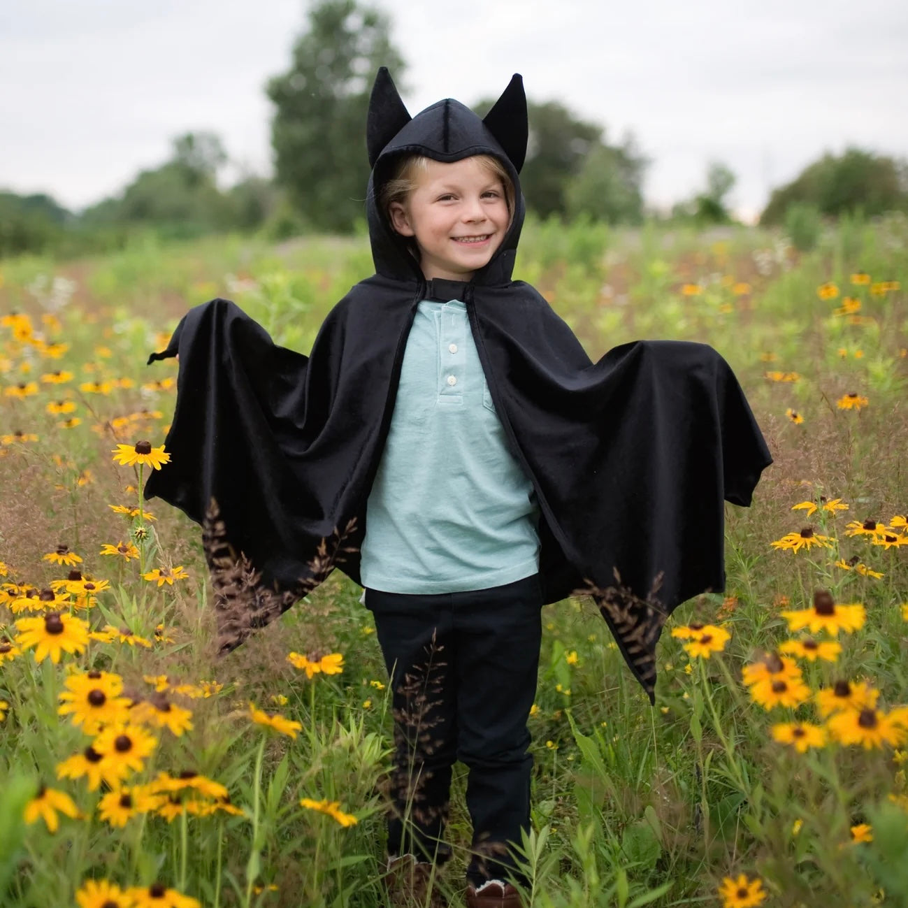 Hooded Bat Cape