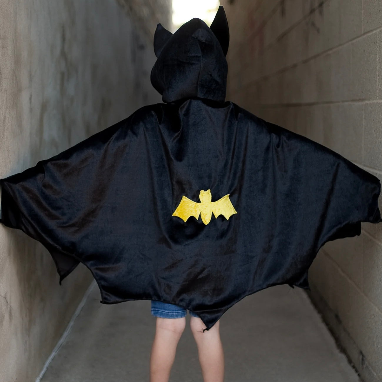 Hooded Bat Cape